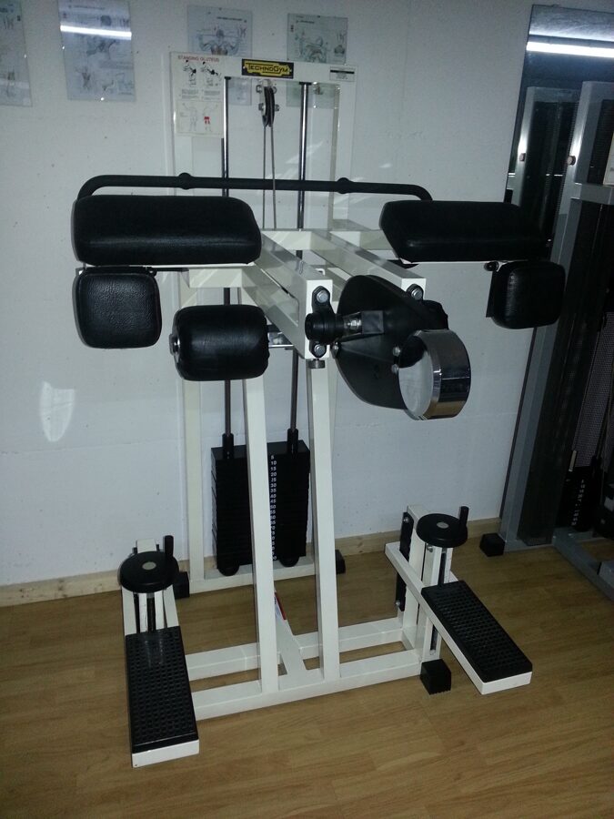 Technogym Standing Gluteus Isotonic Line - Exercise Machine - Catalog ...