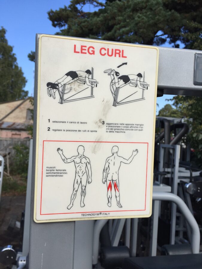 Technogym Leg Curl Isotonic Line Exercise Machine Catalog Gym Service