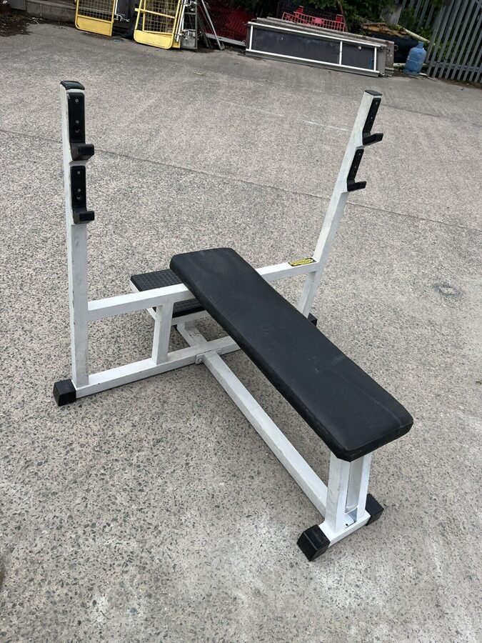 Technogym Bench press isotonic line