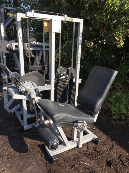 Technogym Leg Extension isotonic line