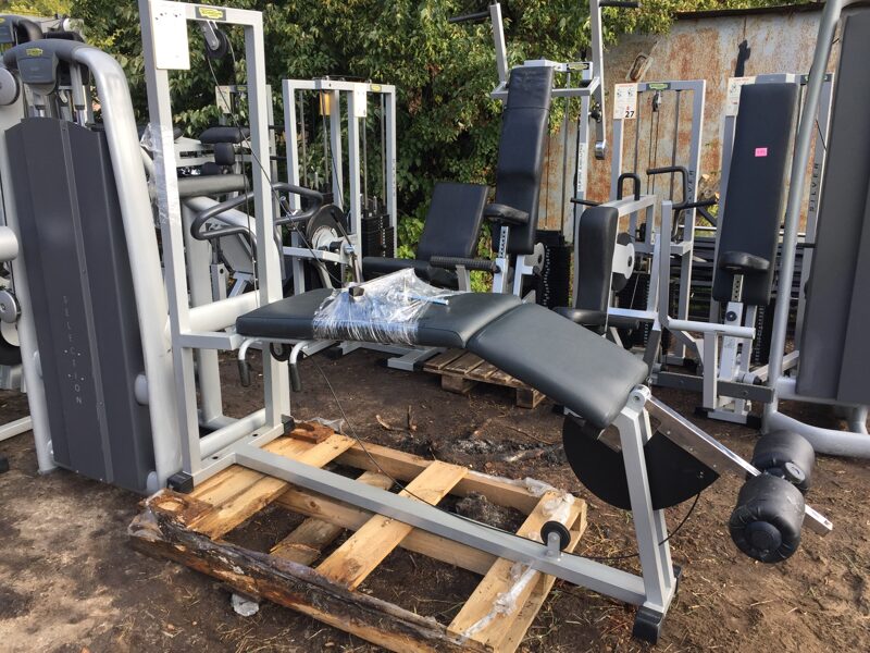 Technogym Leg Curl isotonic line